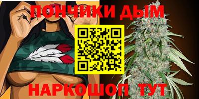 индика Малгобек